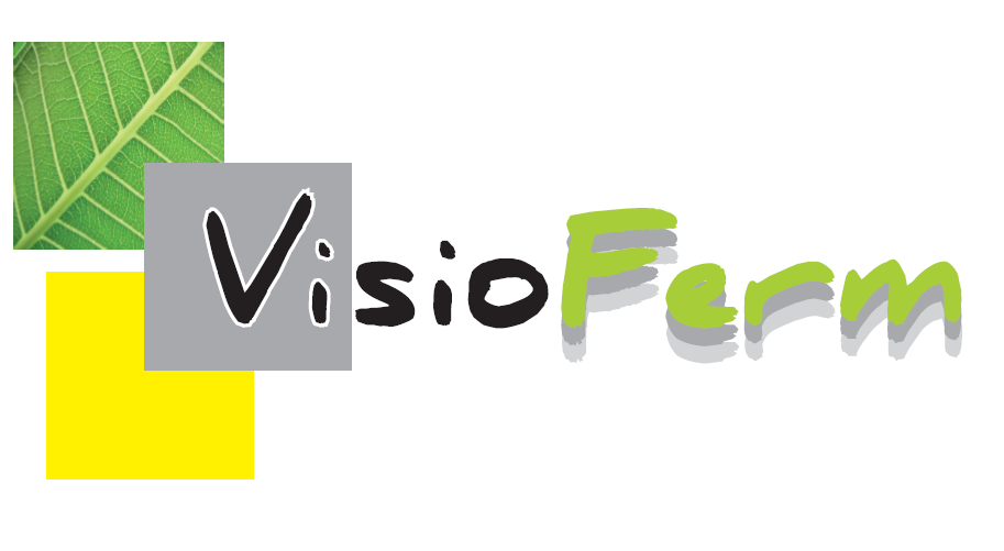 Logo - VISIOFERM